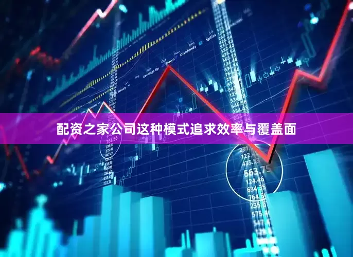 配资之家公司这种模式追求效率与覆盖面